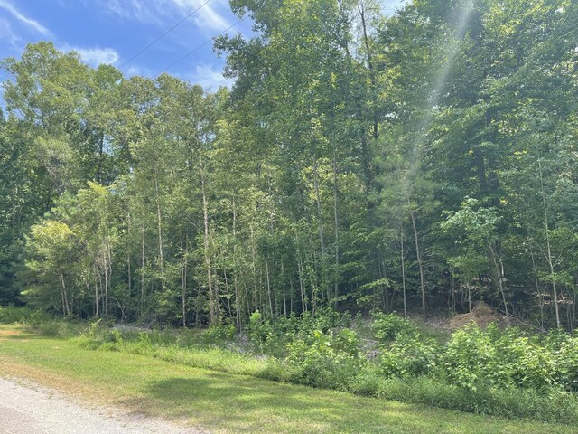 1023 Strike King Dr, Cedar Grove, TN 38321