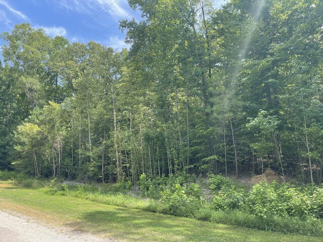 1023 Strike King Dr, Cedar Grove TN, 38321 land for sale