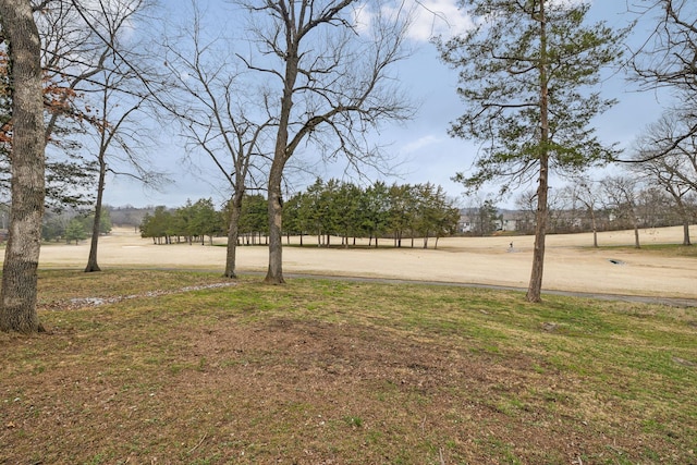 view of yard with a rural view