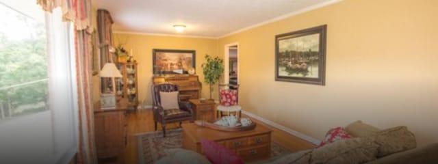 sitting room with ornamental molding