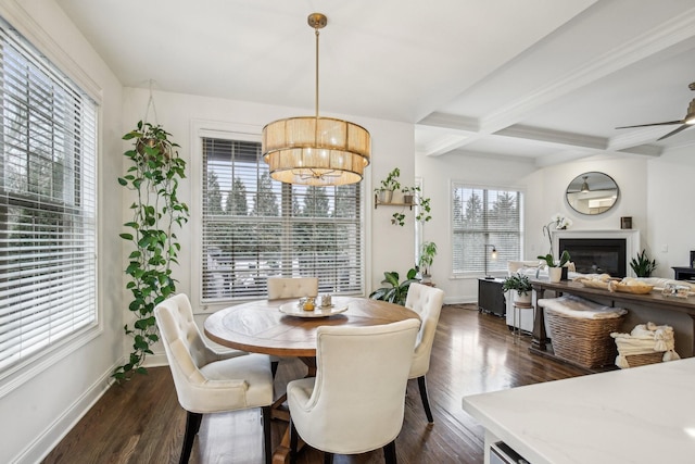 dining area featuring beamed ceiling, dark wood-type flooring, and a healthy amount of sunlight