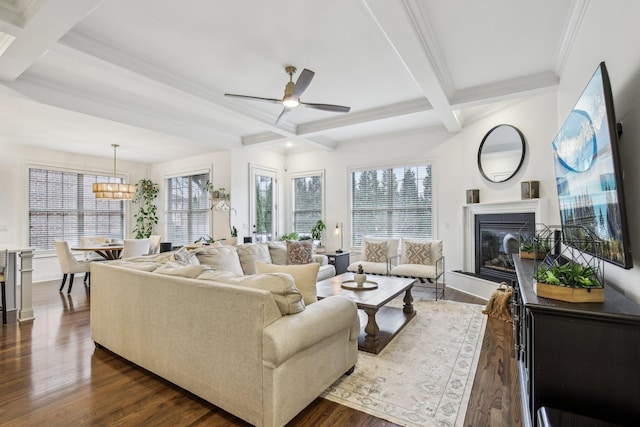 living room with beam ceiling, ceiling fan with notable chandelier, dark hardwood / wood-style floors, and a wealth of natural light