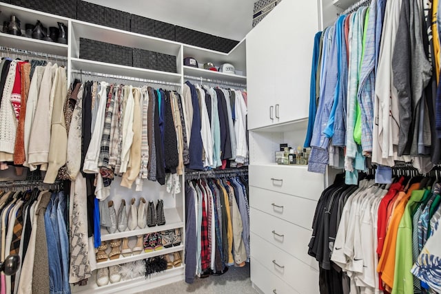 spacious closet with light carpet