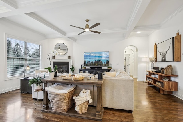 living room with ceiling fan, dark wood-type flooring, coffered ceiling, beamed ceiling, and ornamental molding