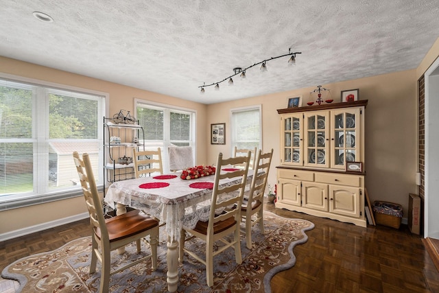 dining space with a wealth of natural light and dark parquet floors