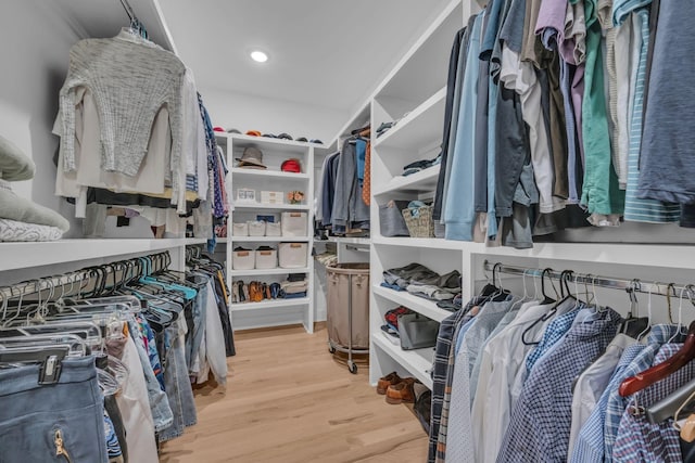 spacious closet with hardwood / wood-style flooring