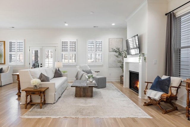 living room featuring a healthy amount of sunlight and light hardwood / wood-style floors