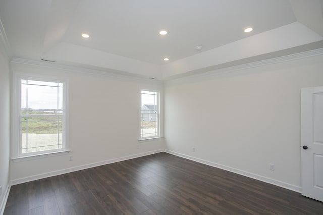 empty room with a healthy amount of sunlight, a tray ceiling, and dark hardwood / wood-style flooring