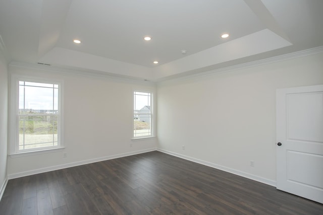 empty room with a healthy amount of sunlight, dark hardwood / wood-style floors, and a raised ceiling