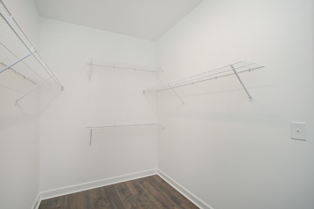 walk in closet featuring dark hardwood / wood-style floors