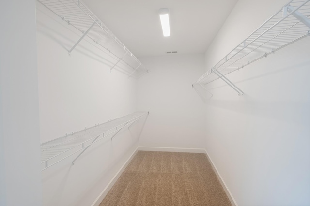 walk in closet featuring carpet flooring