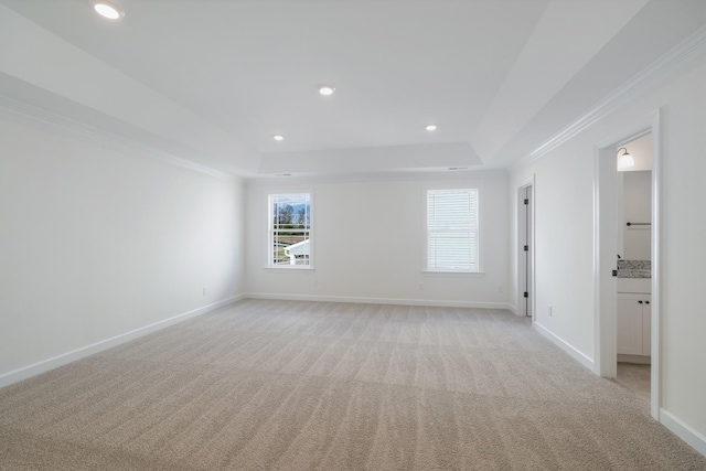 empty room featuring a raised ceiling, light carpet, and a wealth of natural light