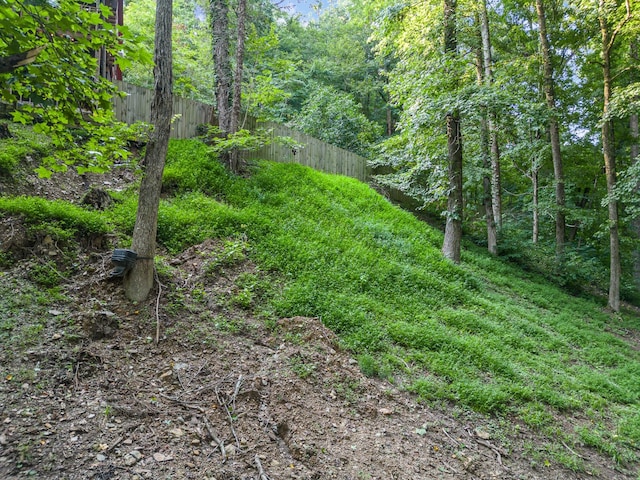 view of local wilderness