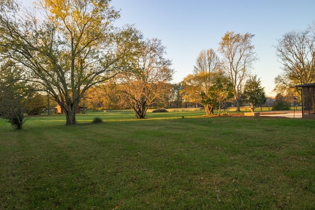 view of yard