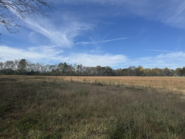 0 Old Railroad Bed, Taft TN, 38488 land for sale