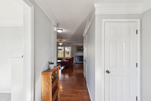 hall featuring dark wood-type flooring and ornamental molding