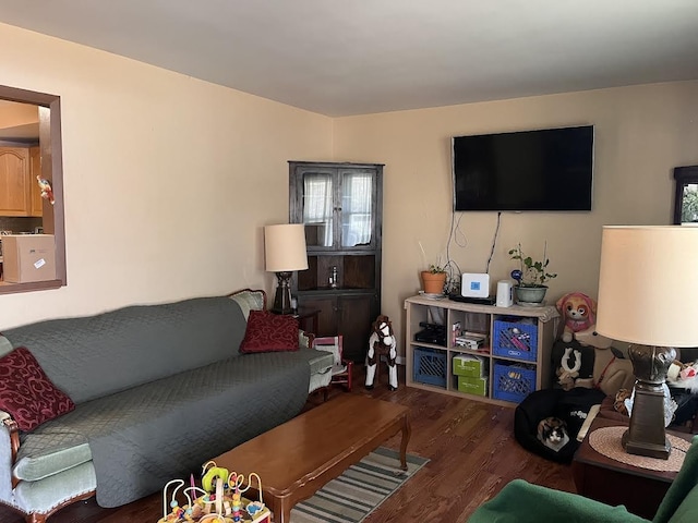 living room with dark hardwood / wood-style flooring