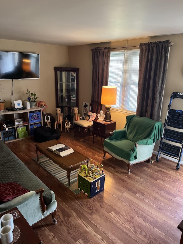 living room featuring hardwood / wood-style flooring