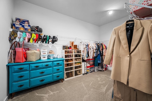 walk in closet featuring carpet floors