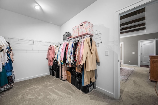 spacious closet with carpet flooring