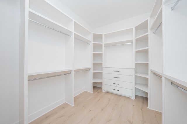 walk in closet featuring light hardwood / wood-style floors