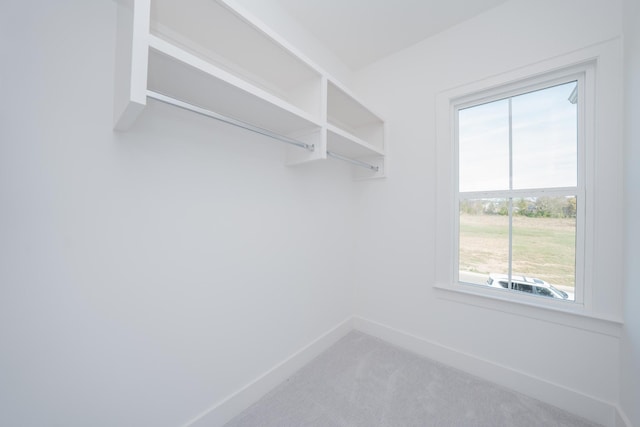 walk in closet featuring carpet floors