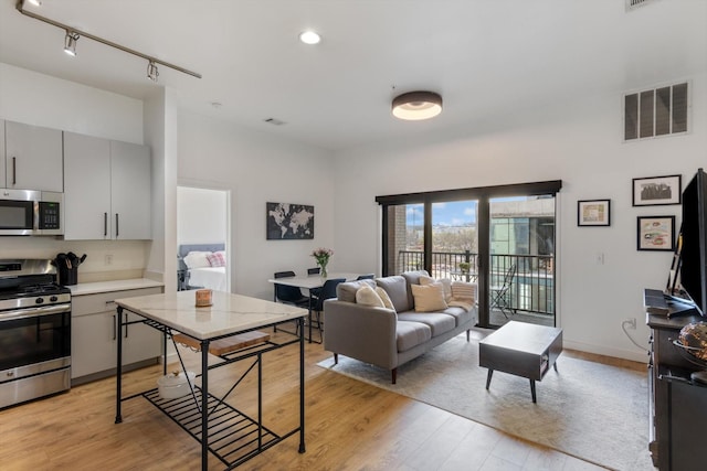 living room with rail lighting and light hardwood / wood-style flooring