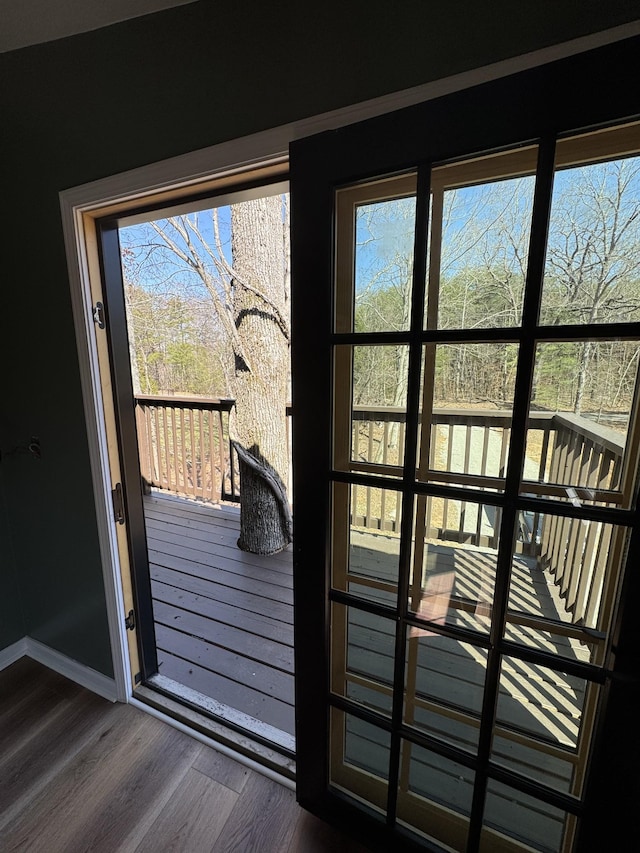 doorway with baseboards and dark wood-style floors