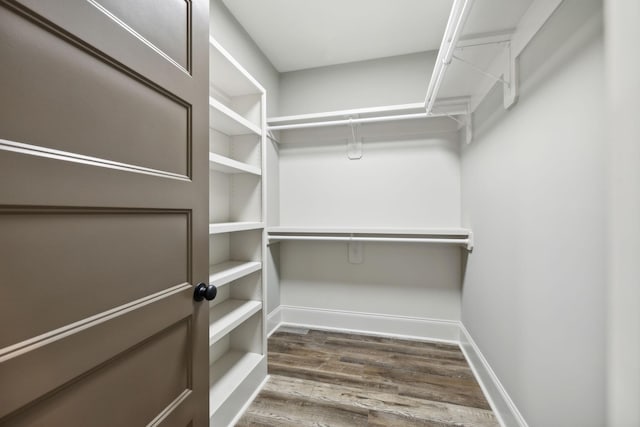 walk in closet featuring hardwood / wood-style floors