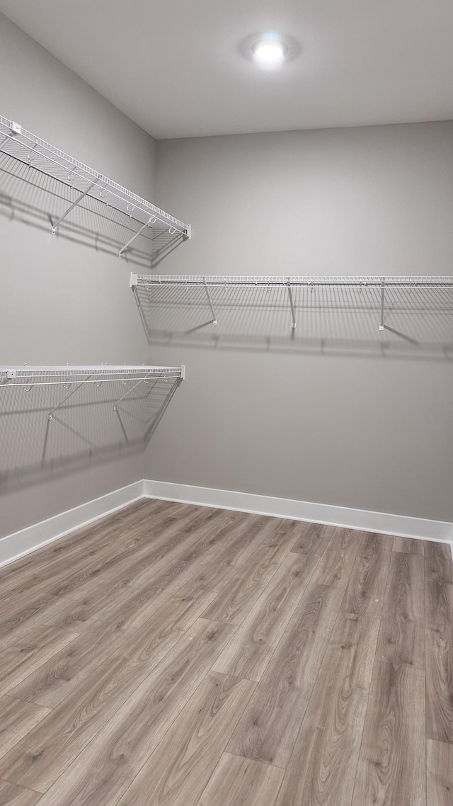 walk in closet featuring light hardwood / wood-style floors