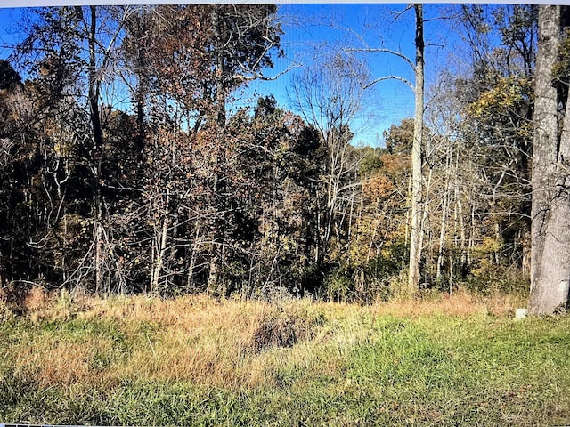 1366 Ridge Cir, Joelton, TN 37080 - photo 3