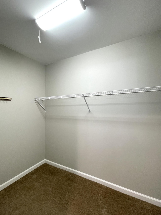 walk in closet with dark colored carpet