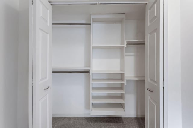 view of closet