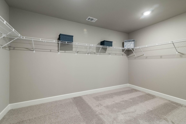 walk in closet featuring carpet flooring