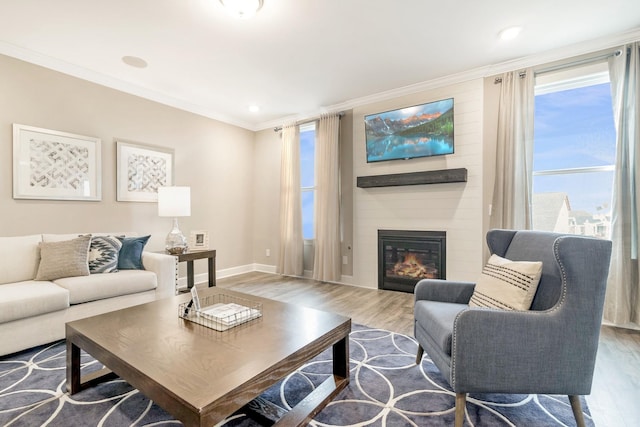 living room featuring a large fireplace, wood-type flooring, and crown molding