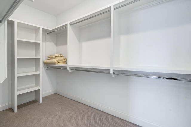 spacious closet featuring light colored carpet