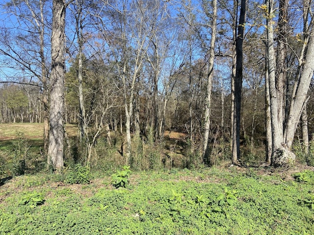 Listing photo 3 for 0 Shelbyville Rd, Morrison TN 37357