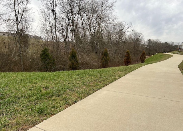 view of home's community with a lawn