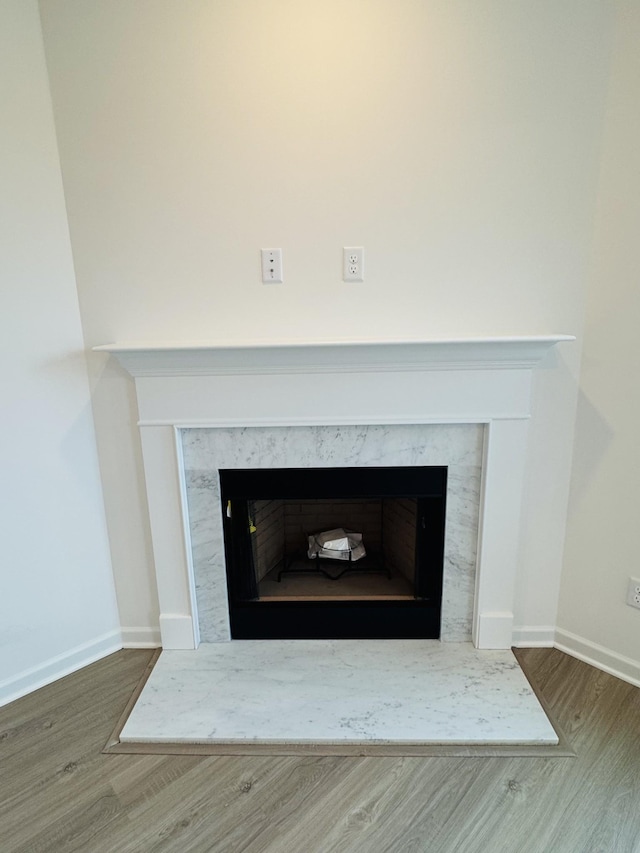 room details with hardwood / wood-style flooring and a high end fireplace