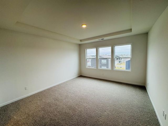 spare room with a raised ceiling and carpet