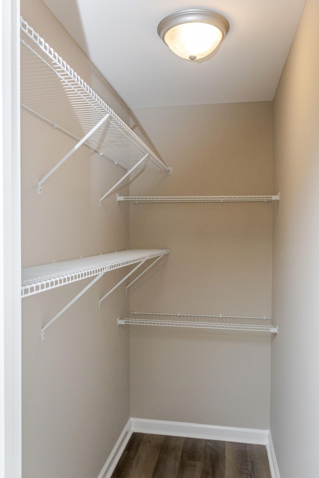 walk in closet with dark wood-type flooring