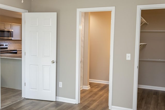 interior space featuring dark hardwood / wood-style floors, a spacious closet, and a closet