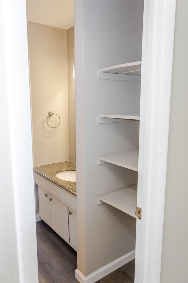 bathroom featuring vanity and hardwood / wood-style flooring