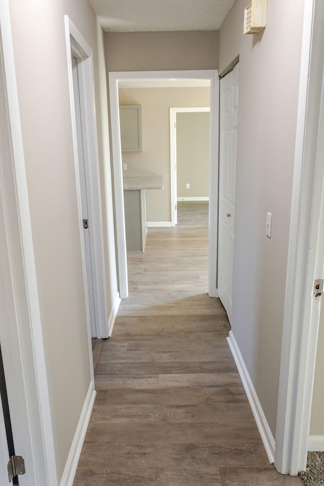 hall featuring light hardwood / wood-style floors