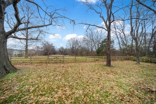 view of yard featuring a rural view