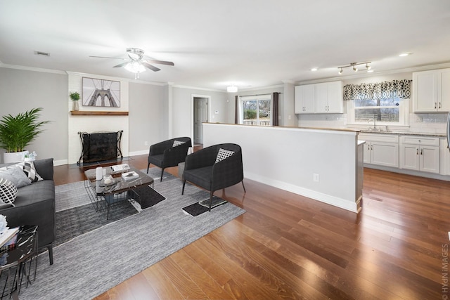 living room with hardwood / wood-style flooring, ornamental molding, sink, and a fireplace