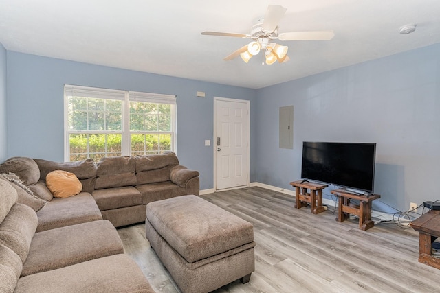 living room featuring electric panel, ceiling fan, and light hardwood / wood-style flooring