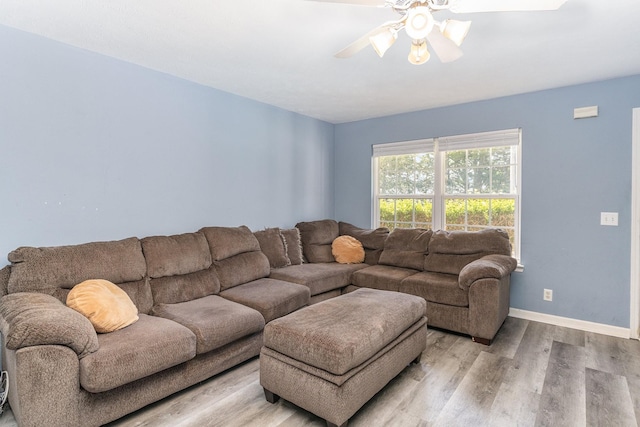 living room with ceiling fan and light hardwood / wood-style floors