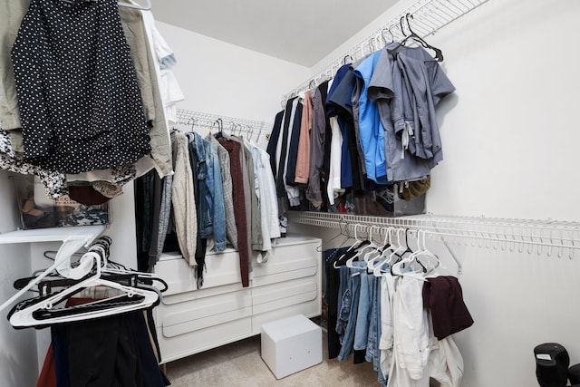 walk in closet with light colored carpet