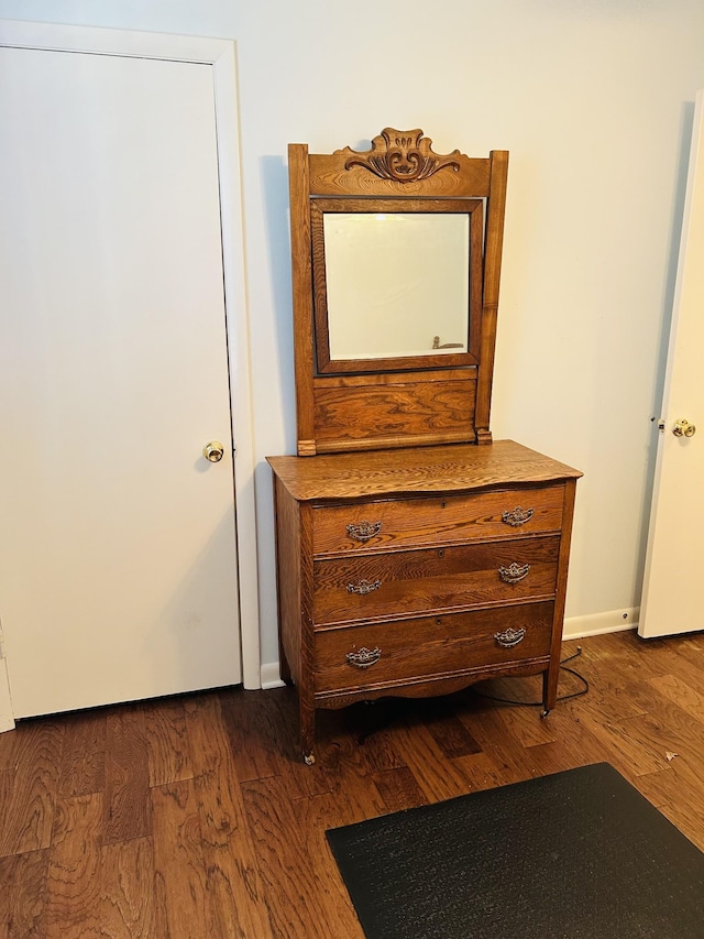 room details with hardwood / wood-style floors